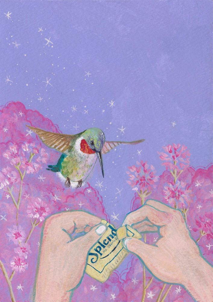 painting of a hummingbird and a Splenda packet